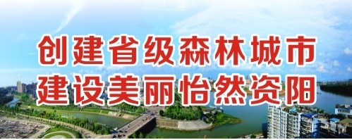 大鸡吧插进去爽视频创建省级森林城市 建设美丽怡然资阳